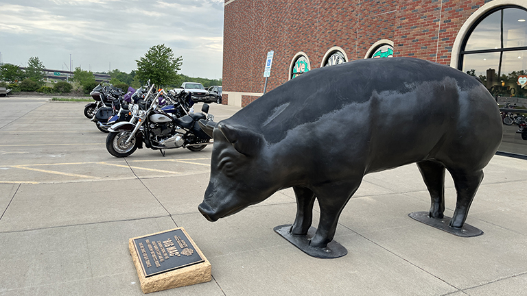 Bike Night 2023